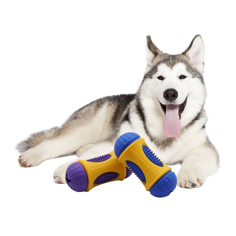 70dcad0e-862d-4714-971f-4ebce99f0ef6