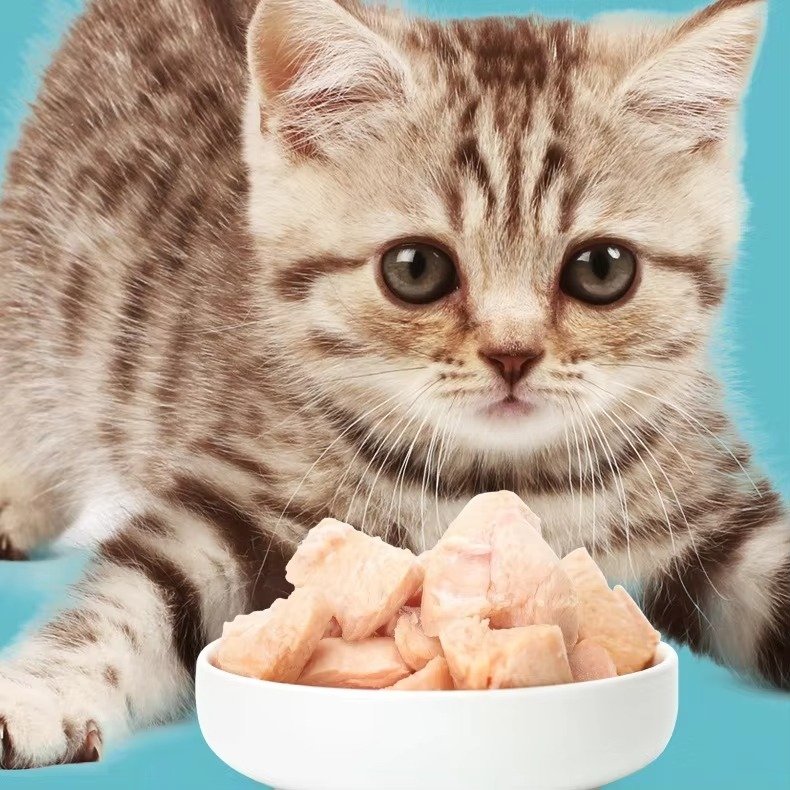 imgi_380_Hf88a84ebcad0420ea41319bfe746448aO