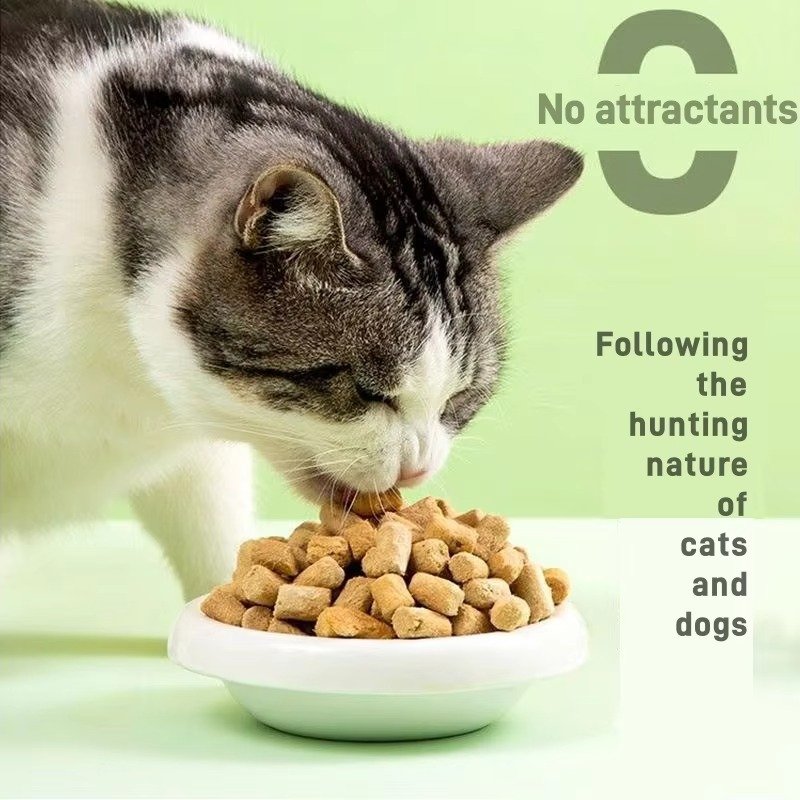 imgi_426_Ha7eb2534daa2405992272fff901a7272m