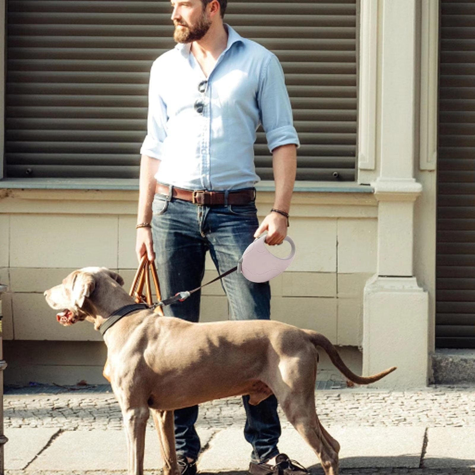 Automatic Retractable Dog Lead Pet Walking Training Rope Dog Leashes Strap Belt Pet Supplies - 图片 2