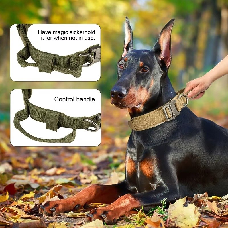 Heavy Duty Metal Buckle Pet Dog Training Collar Large Dogs Collar Tactical Dog Collar - 图片 2
