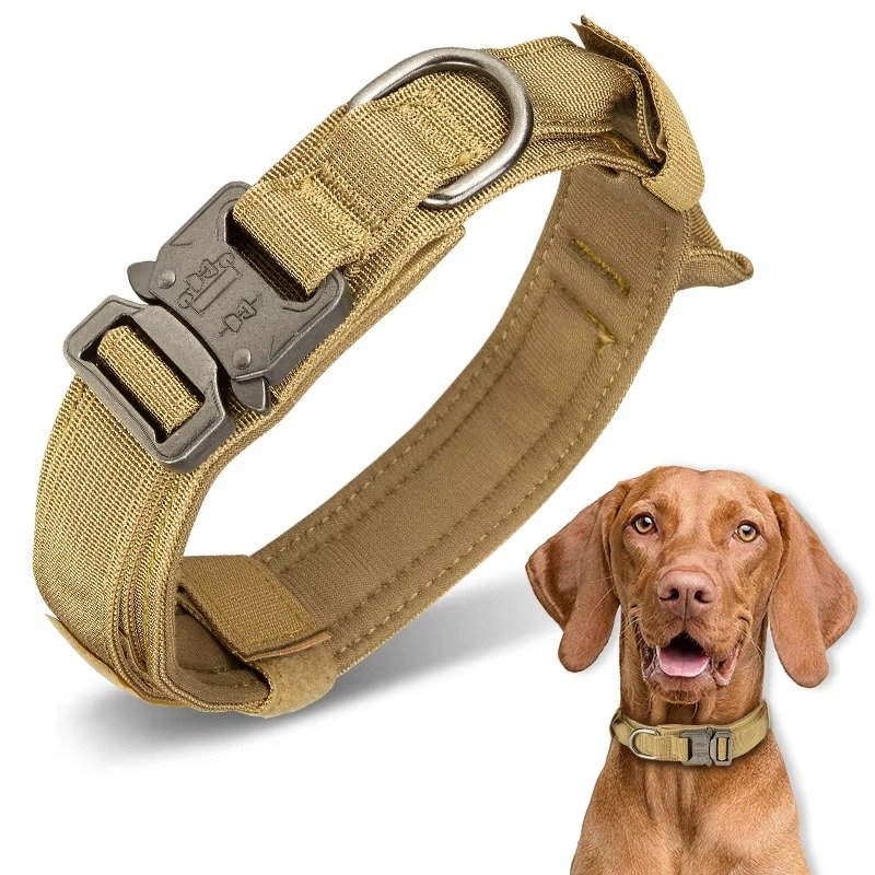Heavy Duty Metal Buckle Pet Dog Training Collar Large Dogs Collar Tactical Dog Collar - 图片 5