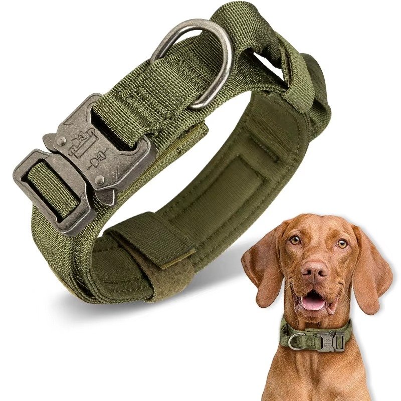 Heavy Duty Metal Buckle Pet Dog Training Collar Large Dogs Collar Tactical Dog Collar - 图片 6