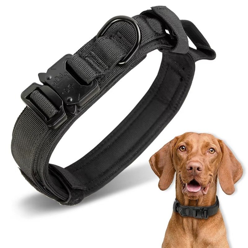 Heavy Duty Metal Buckle Pet Dog Training Collar Large Dogs Collar Tactical Dog Collar - 图片 7