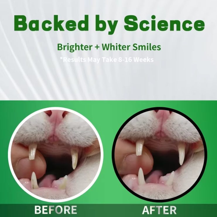 Pet Dental Care Powder Easy Teeth Cleaning for Dogs & Cats - 图片 5