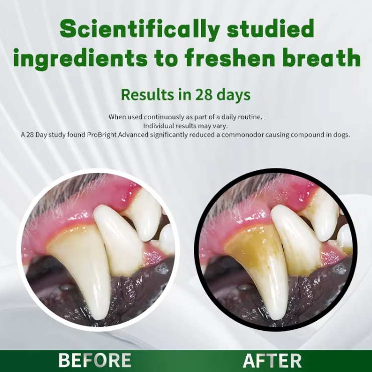 Pet Dental Care Powder Easy Teeth Cleaning for Dogs & Cats - 图片 6