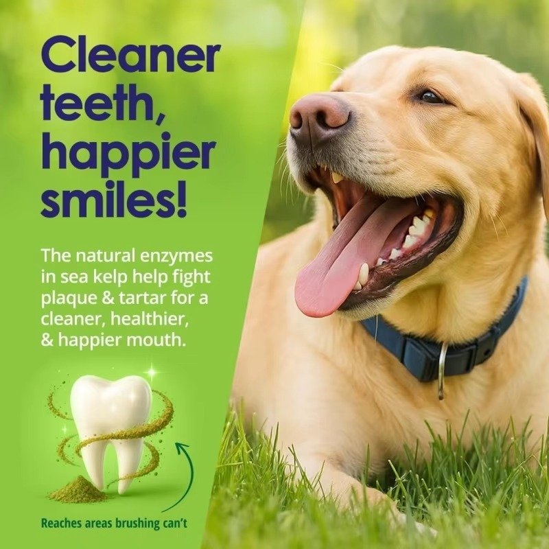Pet Dental Care Powder Easy Teeth Cleaning for Dogs & Cats - 图片 3