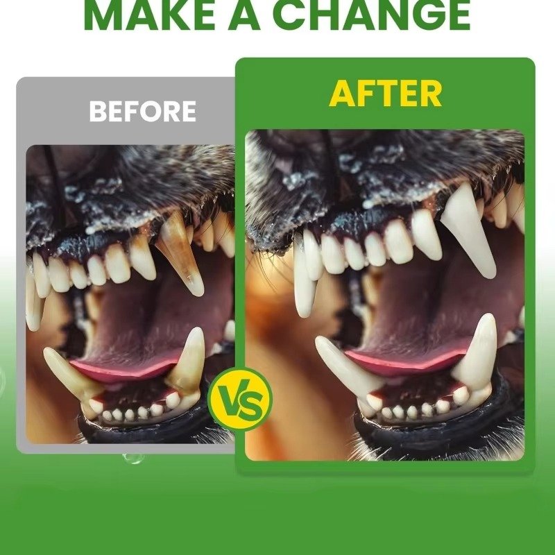Pet Dental Care Powder Easy Teeth Cleaning for Dogs & Cats - 图片 4